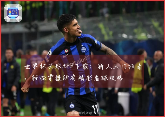 世界杯买球APP下载：新人入门指南，轻松掌握所有精彩看球攻略