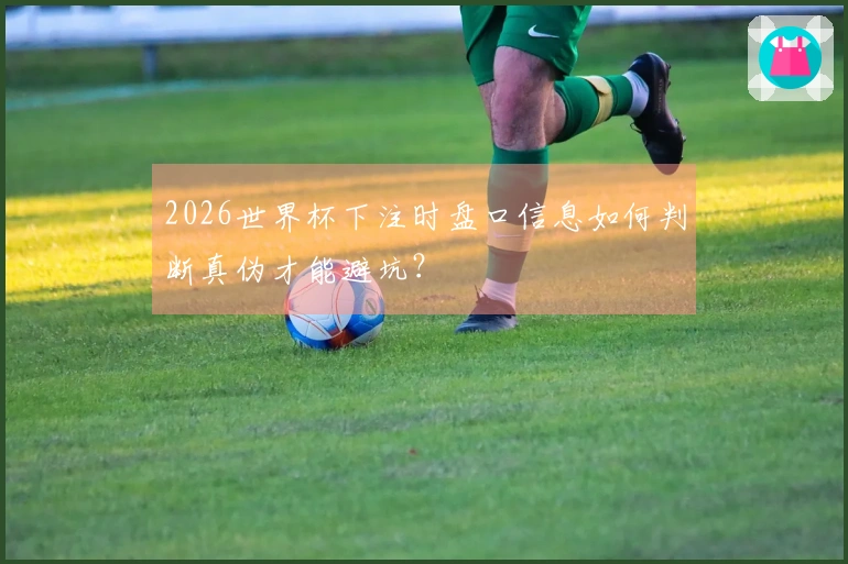 2026世界杯下注时盘口信息如何判断真伪才能避坑？