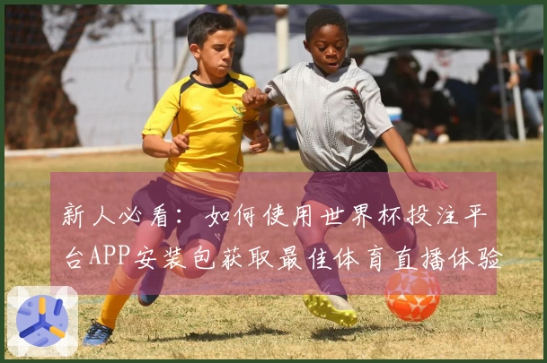 新人必看：如何使用世界杯投注平台APP安装包获取最佳体育直播体验