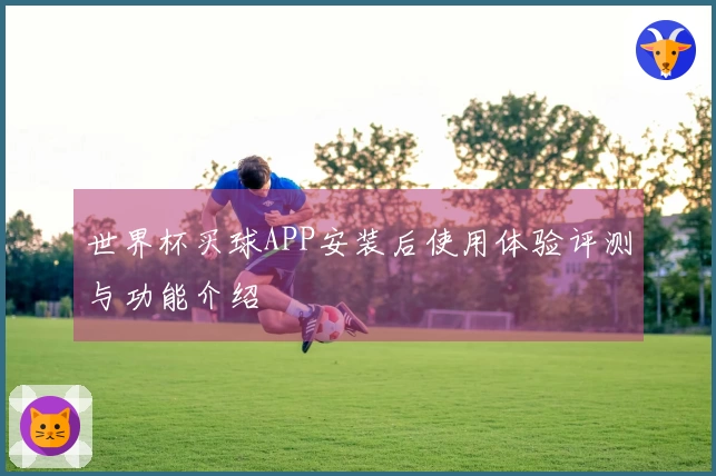 世界杯买球APP安装后使用体验评测与功能介绍
