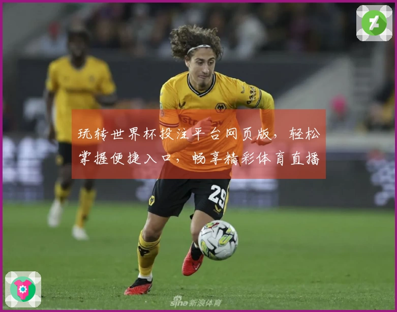 玩转世界杯投注平台网页版,轻松掌握便捷入口,畅享精彩体育直播新体验