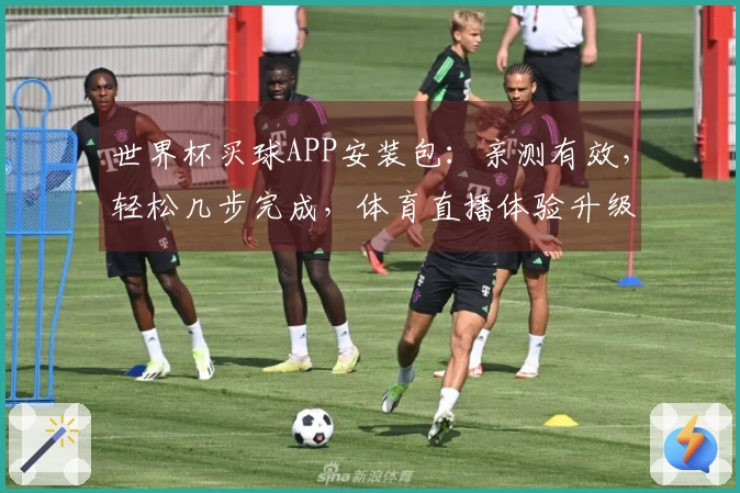 世界杯买球APP安装包：亲测有效，轻松几步完成，体育直播体验升级