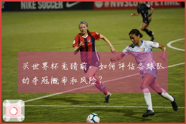买世界杯竞猜前，如何评估各球队的夺冠概率和风险？