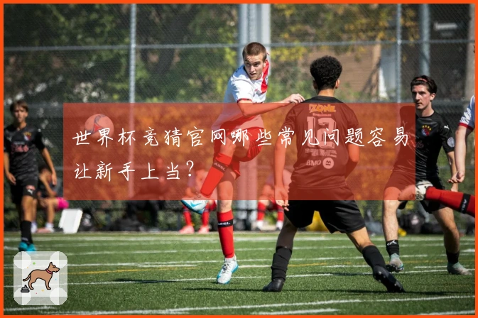 世界杯竞猜官网哪些常见问题容易让新手上当？