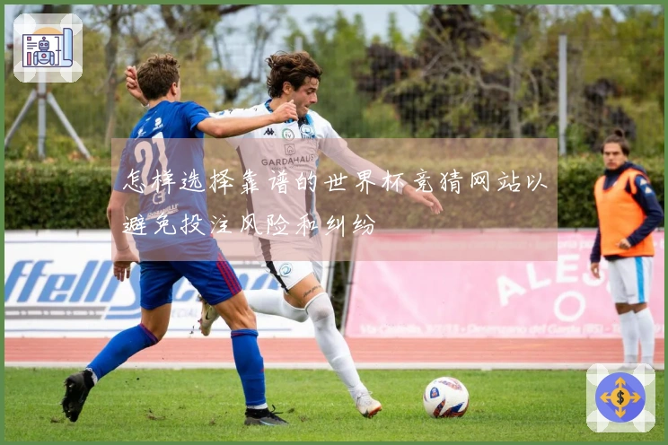 怎样选择靠谱的世界杯竞猜网站以避免投注风险和纠纷