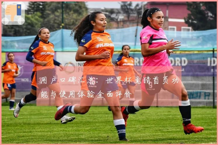 用户口碑汇总：世界杯竞猜首页功能与使用体验全面评价