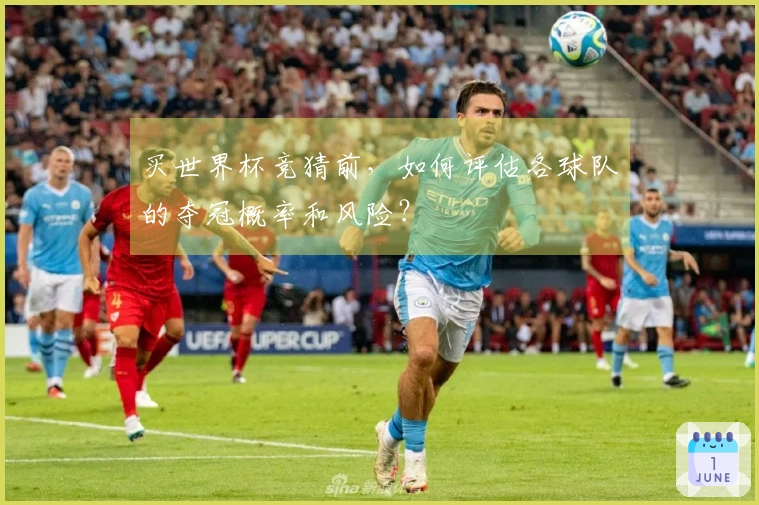 买世界杯竞猜前，如何评估各球队的夺冠概率和风险？