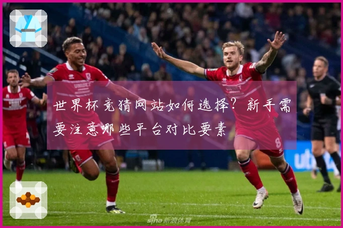世界杯竞猜网站如何选择？新手需要注意哪些平台对比要素