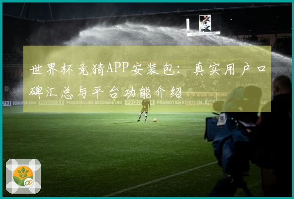 世界杯竞猜APP安装包：真实用户口碑汇总与平台功能介绍