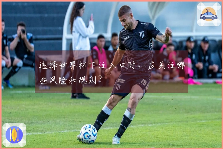 选择世界杯下注入口时，应关注哪些风险和规则？