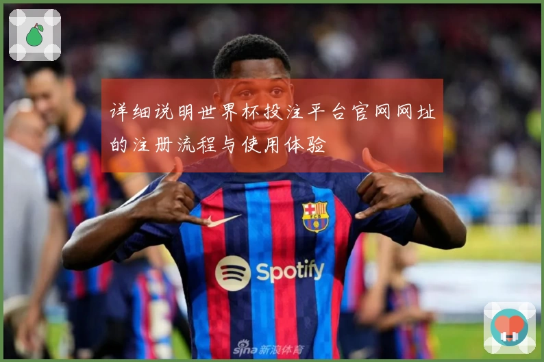 详细说明世界杯投注平台官网网址的注册流程与使用体验