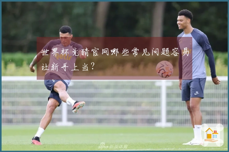 世界杯竞猜官网哪些常见问题容易让新手上当？