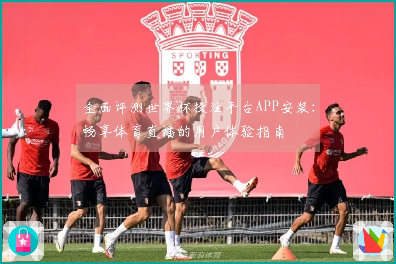 全面评测世界杯投注平台APP安装：畅享体育直播的用户体验指南